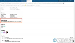 Steam profile block.webp